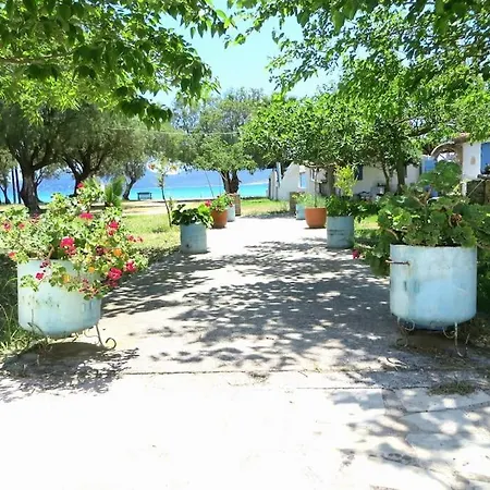 Apartment Sunny On The Beach,